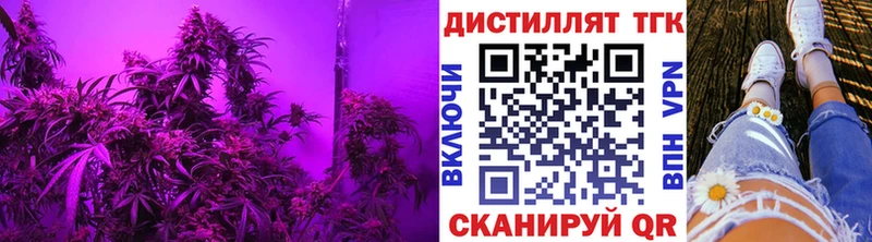 Дистиллят ТГК THC oil  Купить  Губаха 