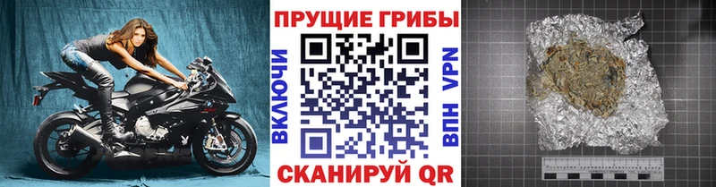 Купить где  Губаха  Галлюциногенные грибы Cubensis 