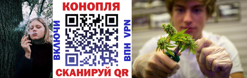 Купить  Губаха  Бошки Шишки конопля 